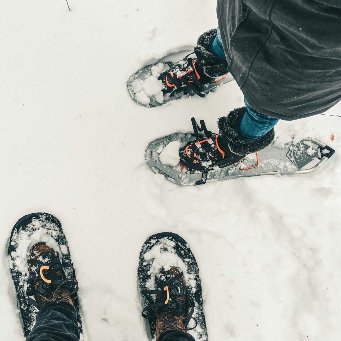 A close-up view of people engaged in snowshoeing in the snow-covered wilderness of Canada.