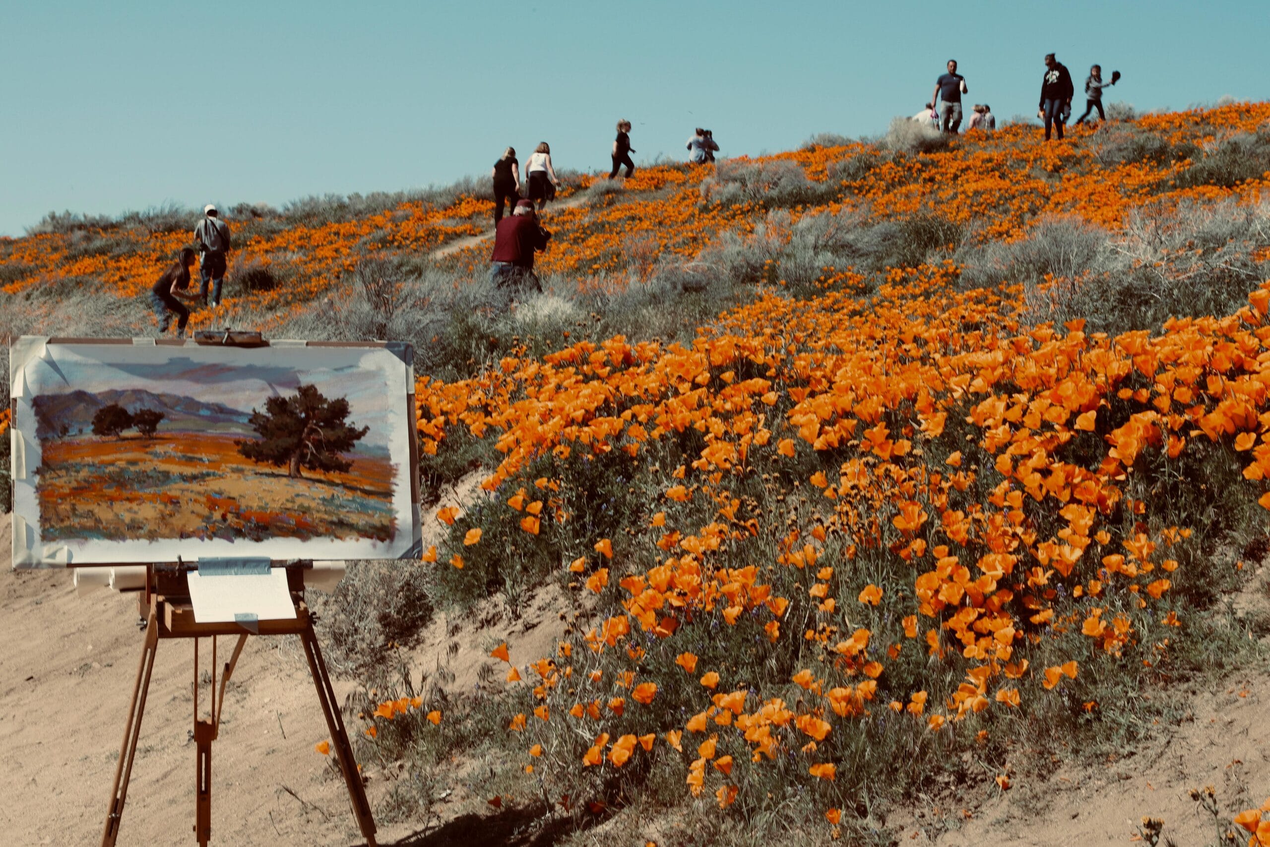 Artists painting amidst vibrant orange poppy fields with people enjoying the scenery outdoors.