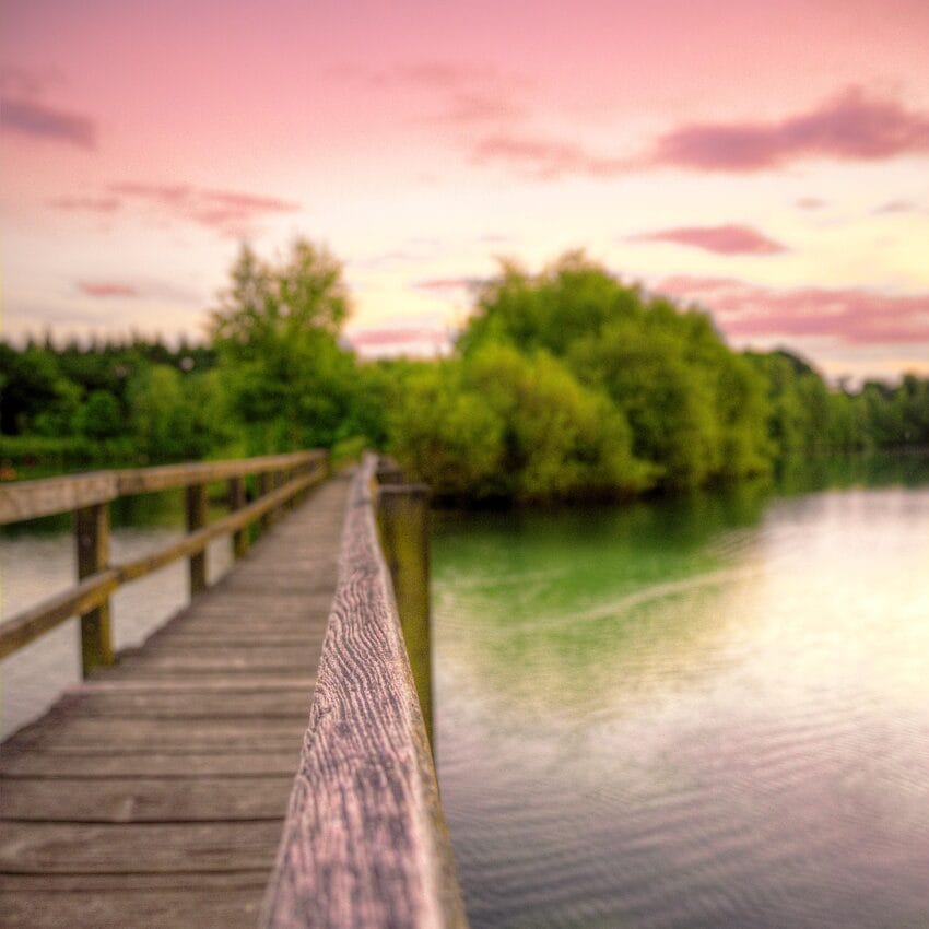 bridge, sunset, water, lake, nature, trees, wood, scene, river, sky, walk, green, park