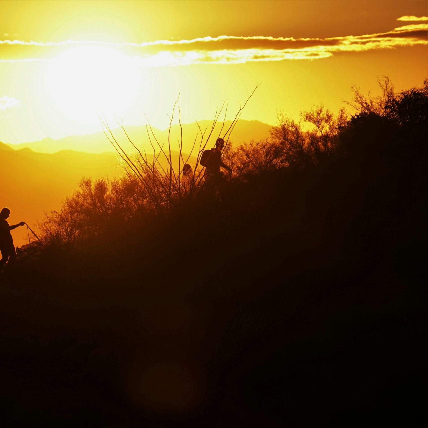 Silhouetted hikers trekking a hill during a vivid Arizona sunset, capturing adventure and serene desert landscapes.