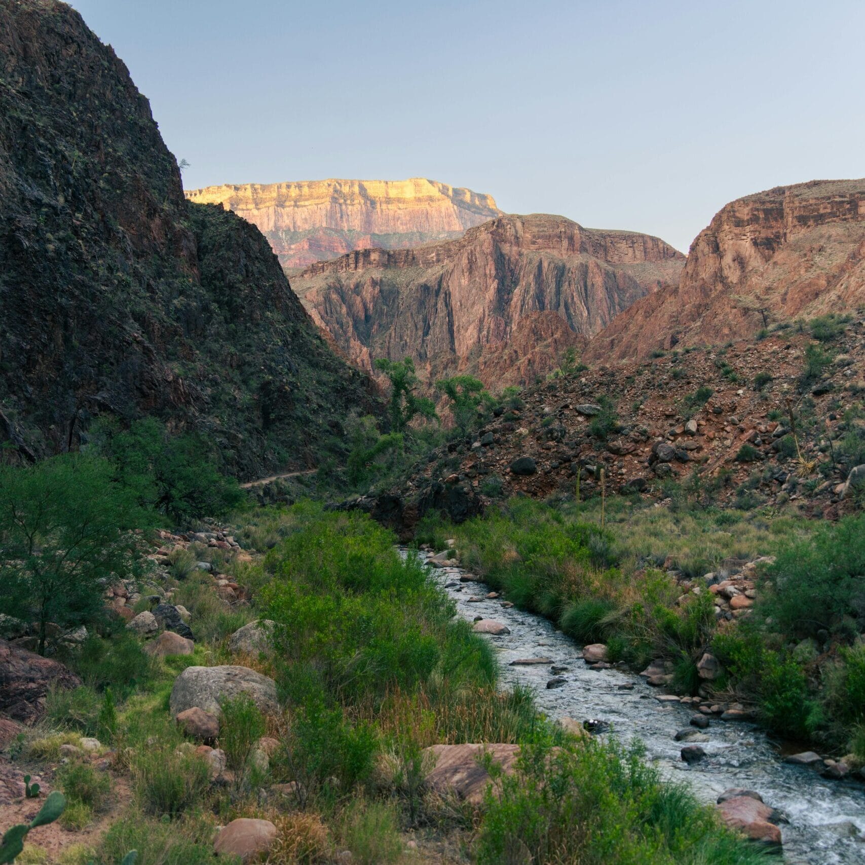 Explore the breathtaking landscapes of Grand Canyon National Park's trails.