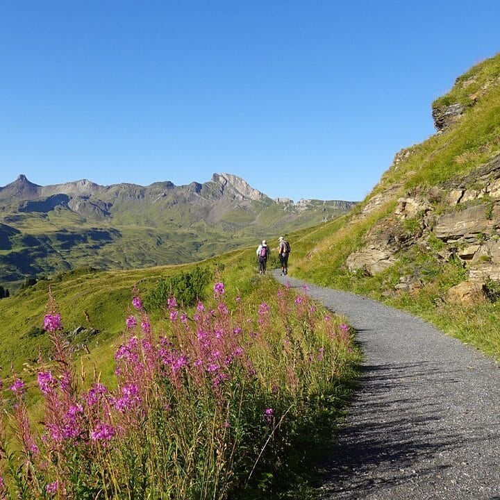 trail, nature, hike, travel, exploration, outdoors, recreation, mountain panorama, mountain summer