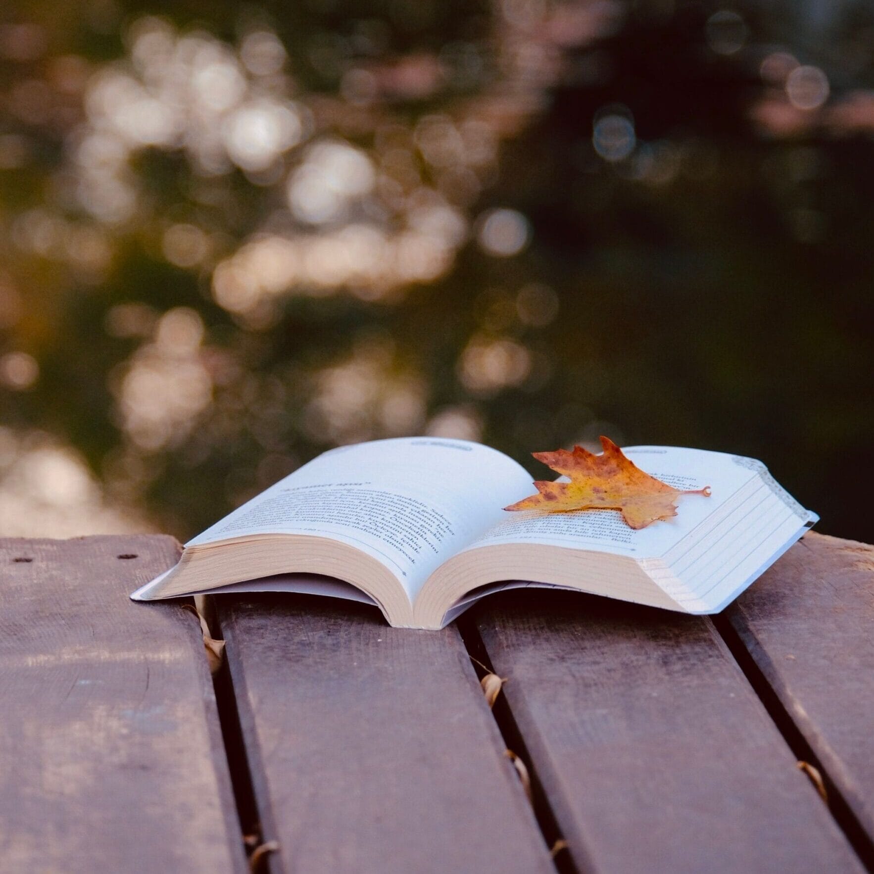 An open book with an autumn leaf rests on a rustic dock by the water.