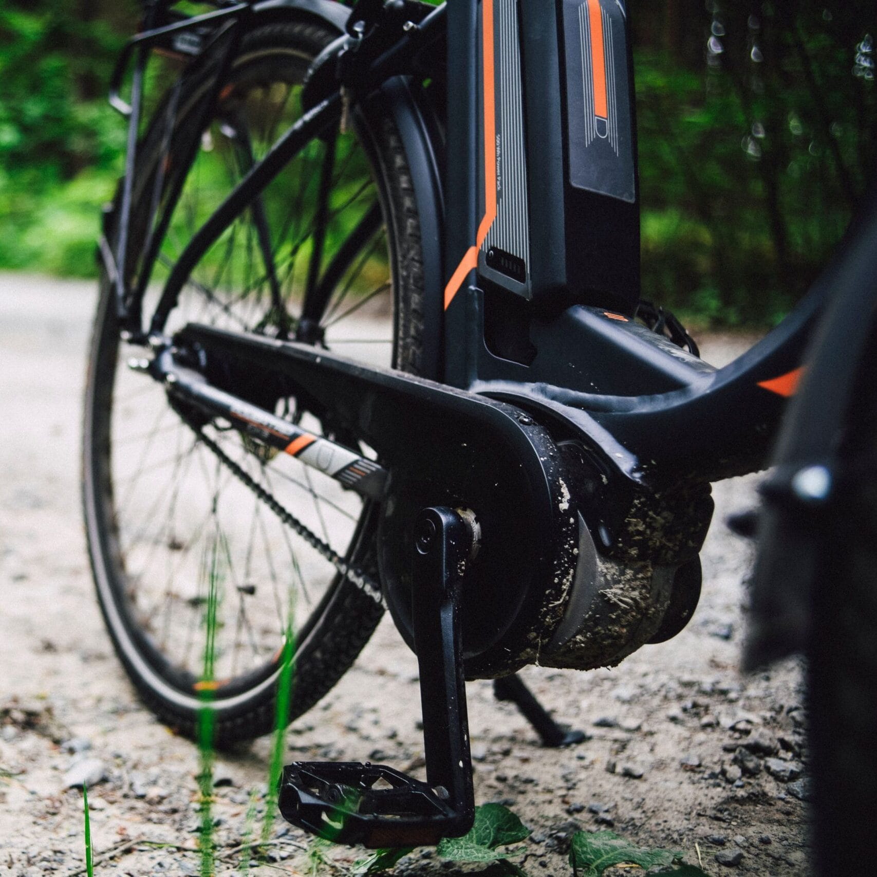 Detailed view of a mountain bike on a gravel path through lush forest foliage.