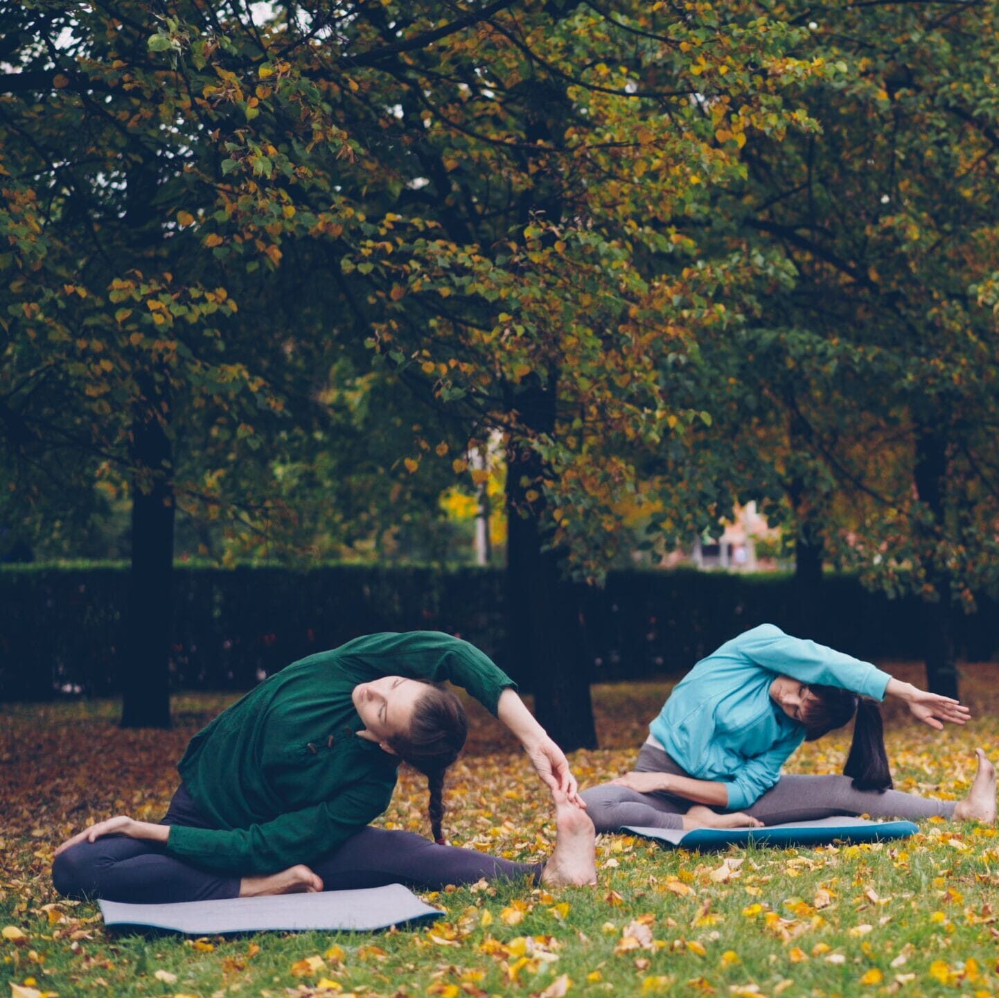 Three people practicing yoga in a park during fall surrounded by trees.
