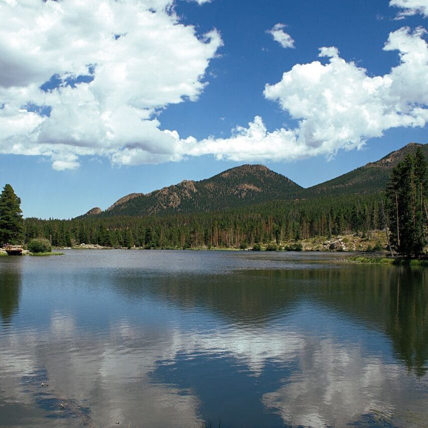 Peaceful mountain lake scene with pine trees and calm water reflection under a bright sky.