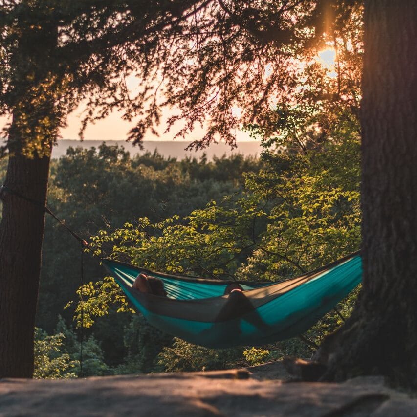 Serene scene of a person relaxing in a hammock amidst a sunlit forest, capturing tranquility.
